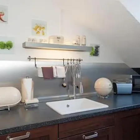 Waldrand * Freiburg im Breisgau