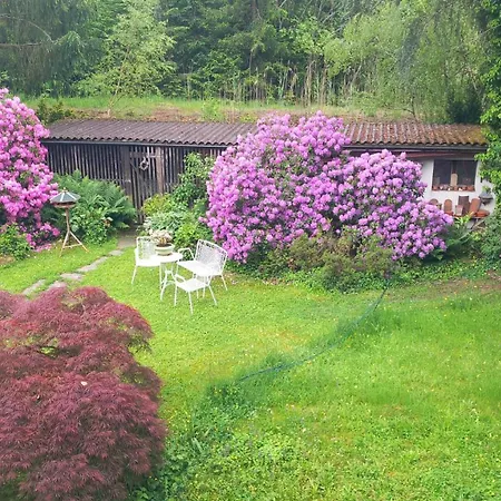 Waldrand Freiburg im Breisgau